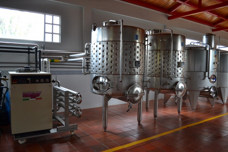 cave-CARCES-min_wine_production_cantine_winery_drink_alcohol_vine_beverage-902036